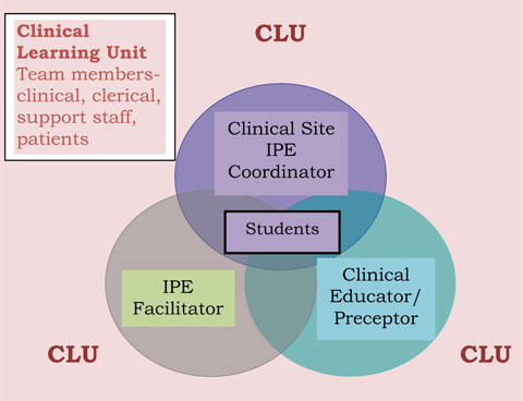 Clinical Learning Unit: Team members - clinical, clerical, support staff, patients