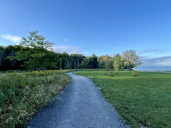 Long Walks at Lemoine